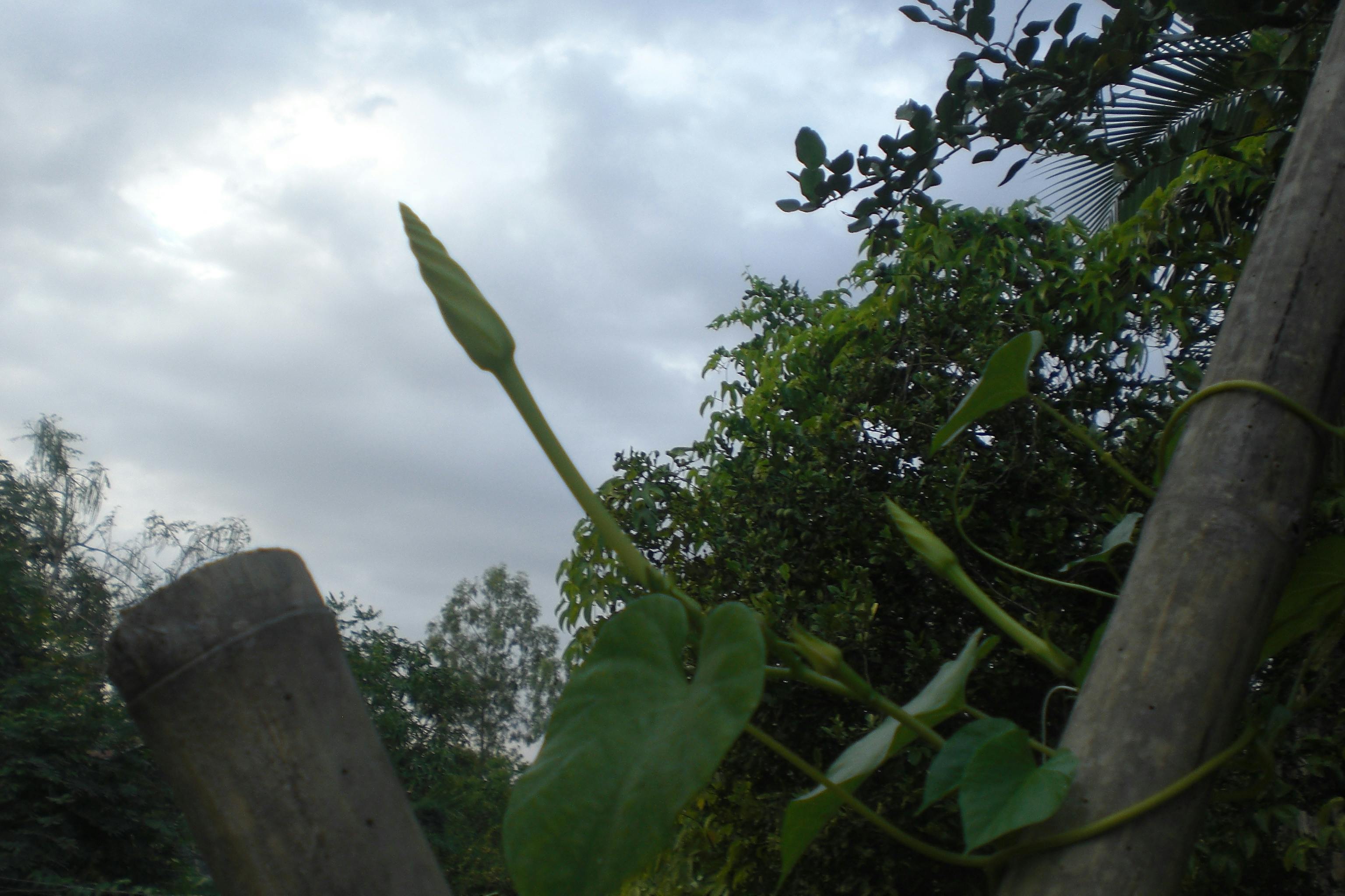 Young professional reviewing financial documents and student loan statements at desk with laptop and calculator