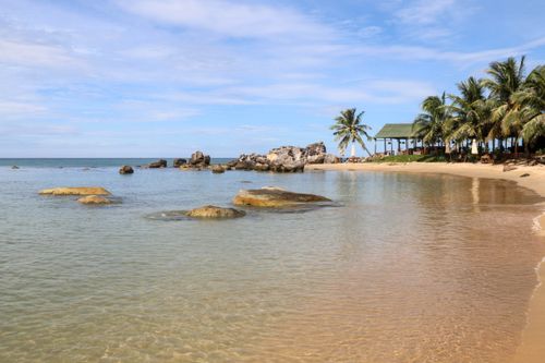 Free Serene beach landscape with palm trees, rocks, and clear water. Perfect tropical getaway setting. Stock Photo