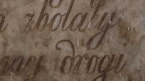 Detailed close-up of vintage Polish handwritten text on aged paper, showcasing elegant calligraphy.
