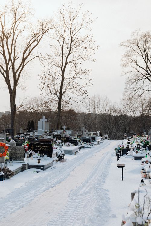 Free A peaceful cemetery with gravestones covered in snow, surrounded by bare trees. Stock Photo