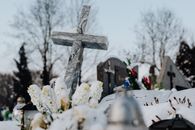 Free stock photo of cemetary, cemetery, christmas