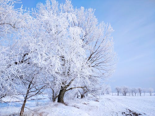 Základová fotografie zdarma na téma počasí, rýma, sezóna