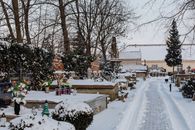 Snow Covered Field With Trees and Houses