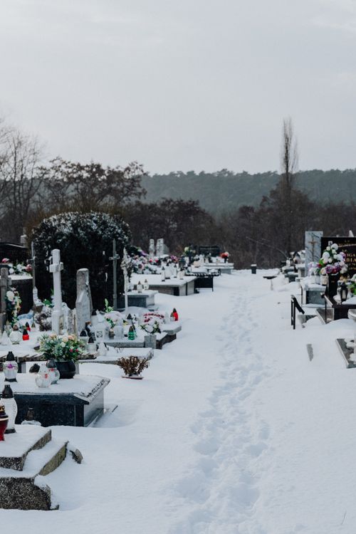 Free A peaceful snow-covered cemetery with tombstones and a serene winter landscape. Stock Photo
