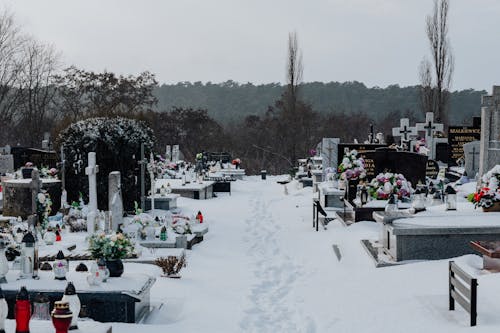 Free Snow Covered Cemetery Stock Photo