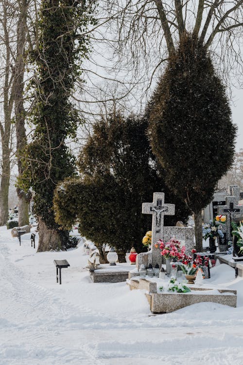 Free Snow Covered Cemetery Stock Photo