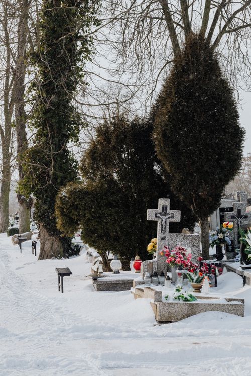 Free A tranquil cemetery featuring snow-covered grave markers surrounded by trees. Stock Photo