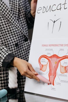 A person presents a detailed diagram of the female reproductive system on a whiteboard.