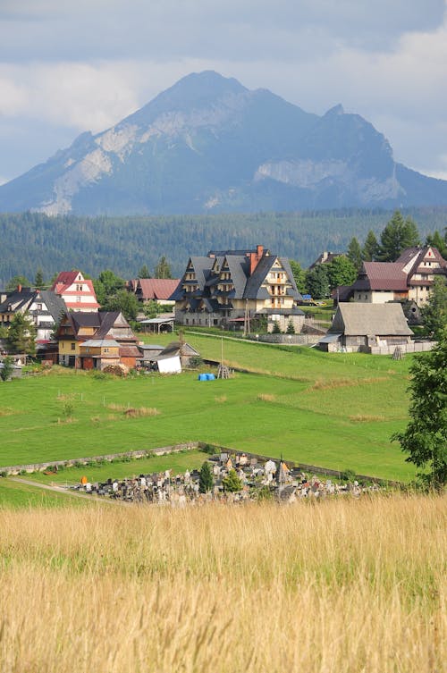 Beautiful Houses on a Green Field