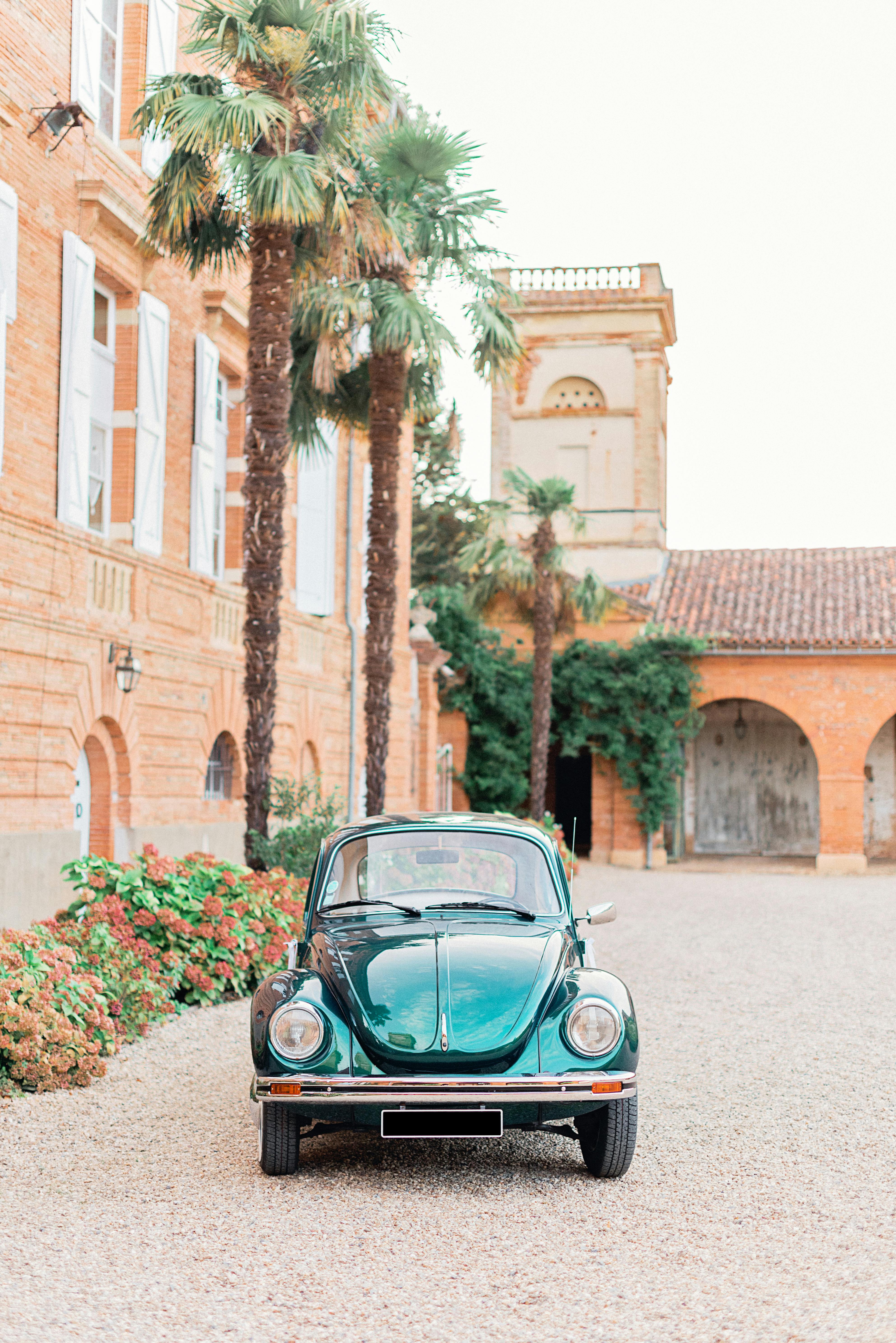 Where is car culture the biggest?