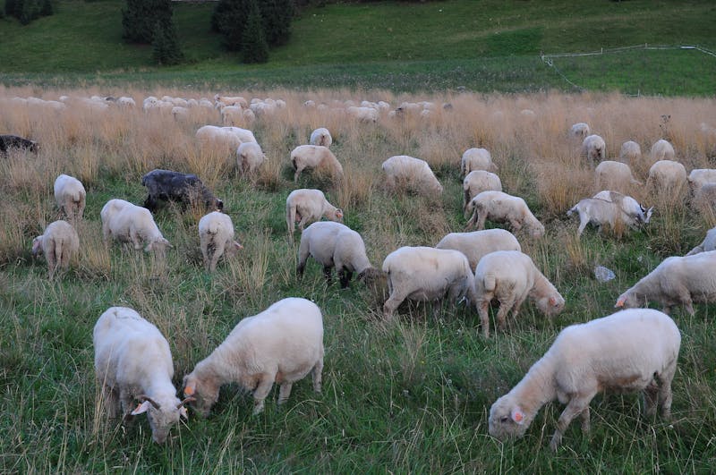 So sánh hai sàn giao dịch Forex uy tín