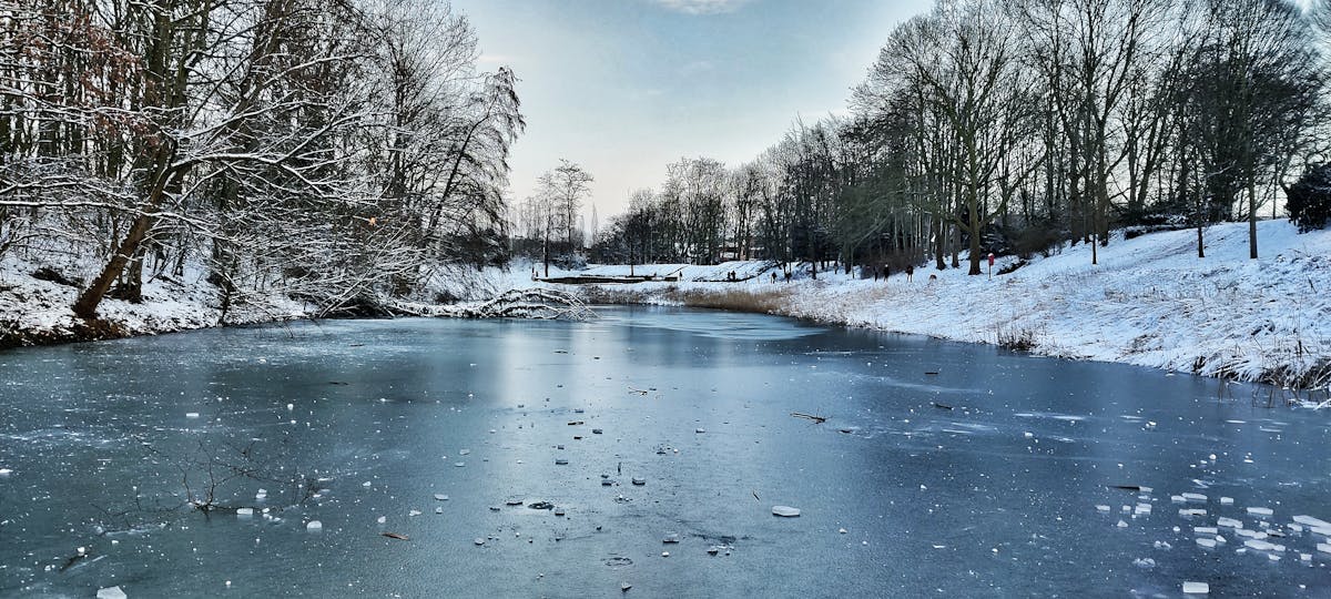 Cryptocurrency candlestick chart on a monitor with bright price movements