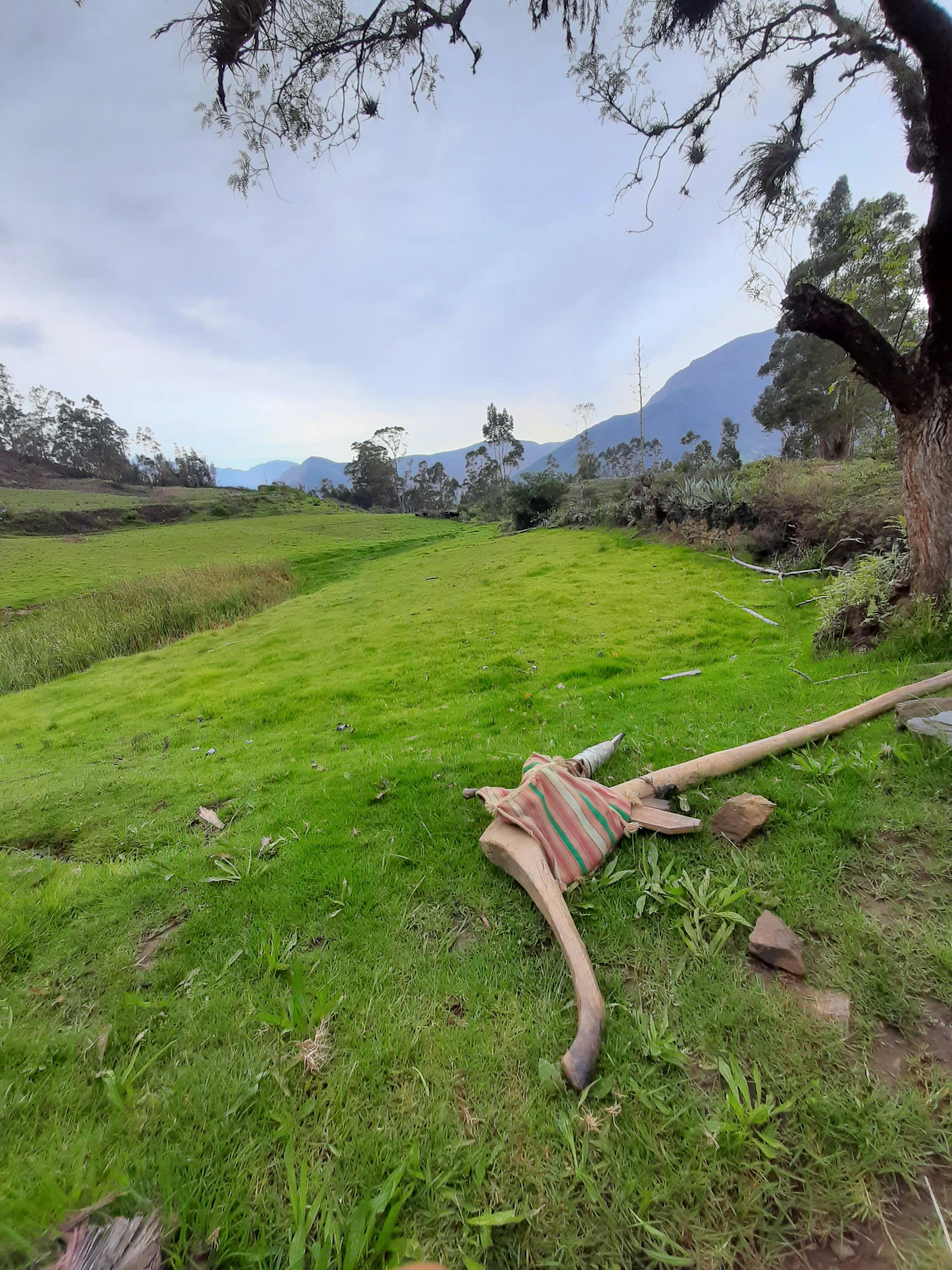 Digital dollar and euro symbols on a financial technology background