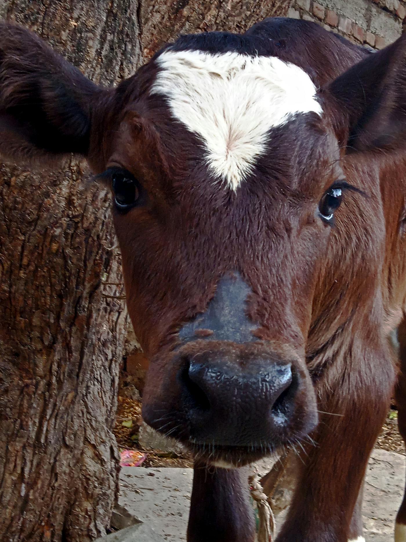 Financial governance and audit readiness