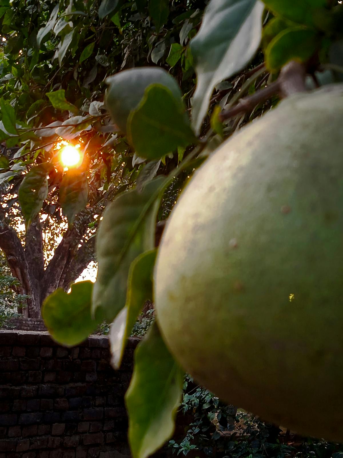 Institutional investors analyzing charts on multiple monitors