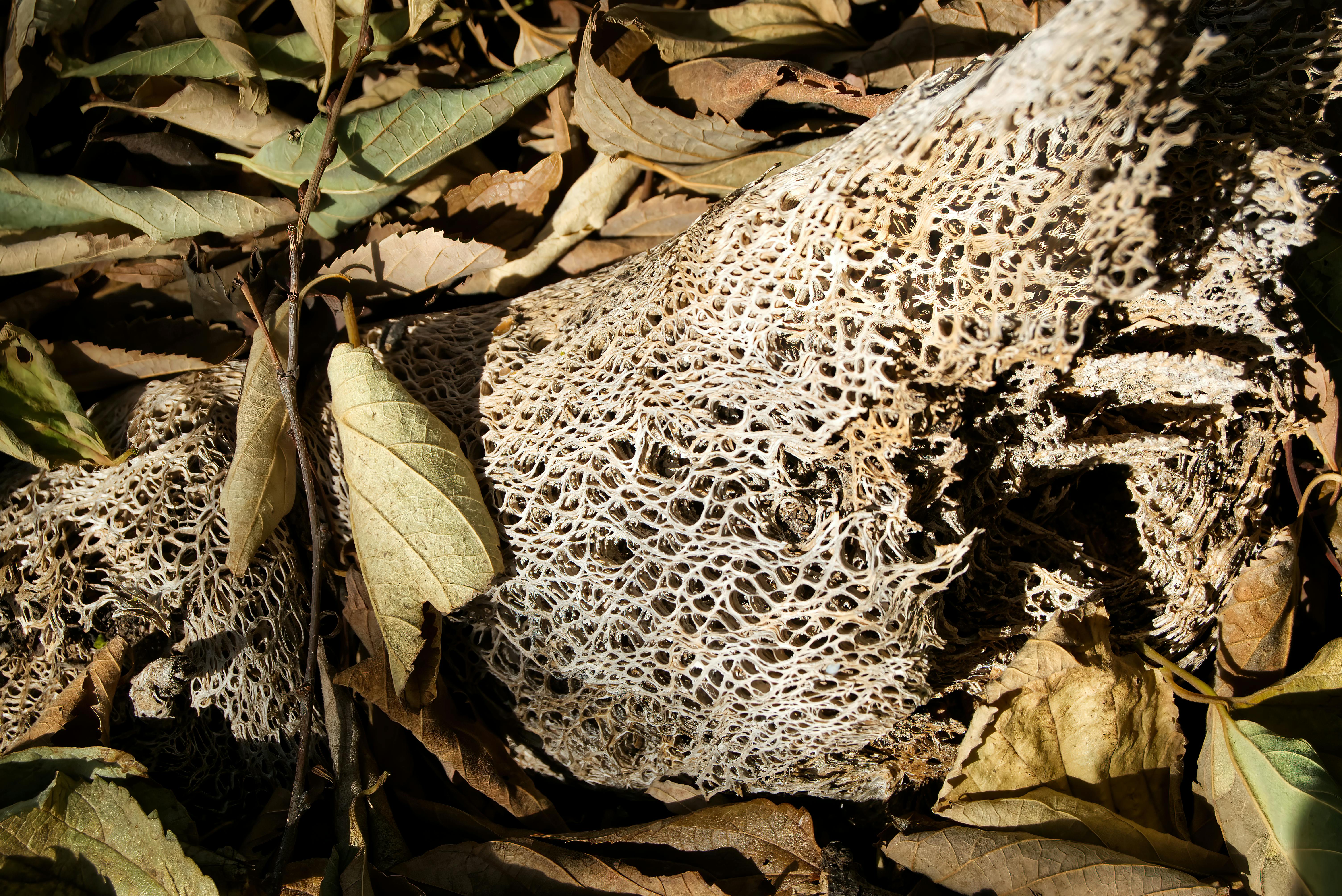 Digital chart showing Bitcoin price fluctuations and trading volume