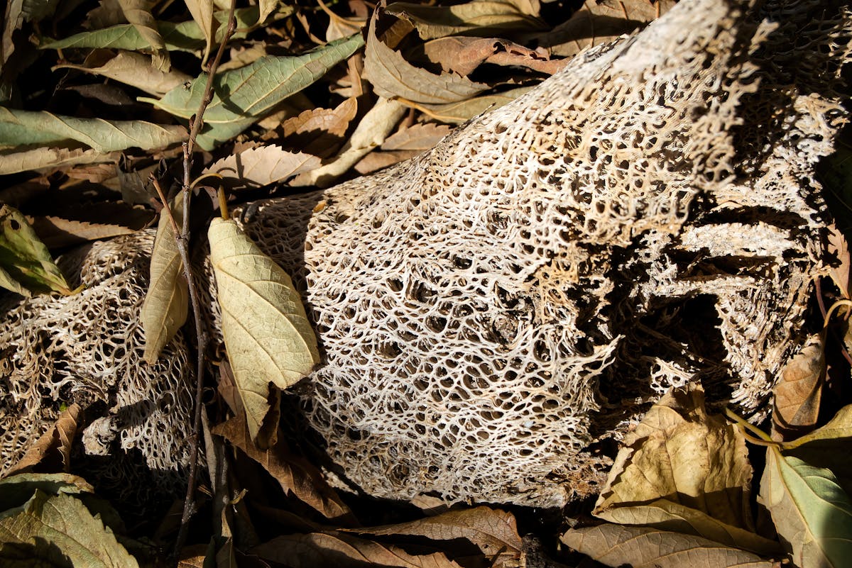 Diagram concept of data-driven crypto narrative analysis across social platforms and blockchains