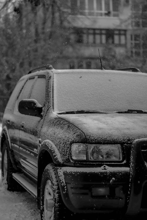 Immagine gratuita di auto, bianco e nero, coperto di neve