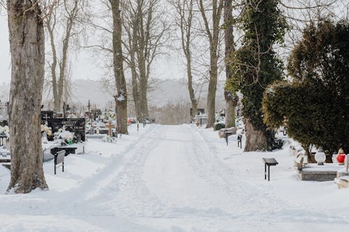 A Snow Covered Cemetery During Winter