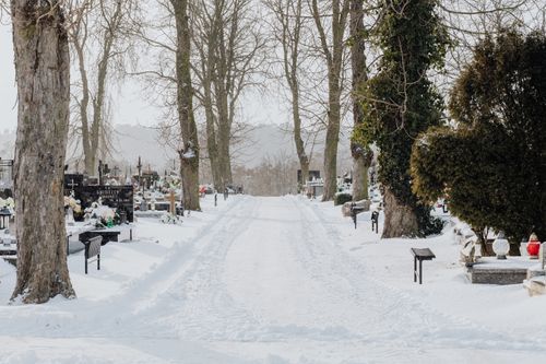 Free Serene snowy cemetery path lined with trees, evoking a peaceful winter scene. Stock Photo