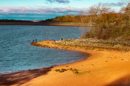 Gratis lagerfoto af efterår, efterårskov, landskab