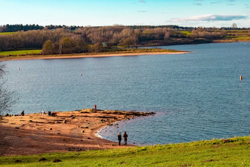 Gratis lagerfoto af efterår, efterårskov, landskab