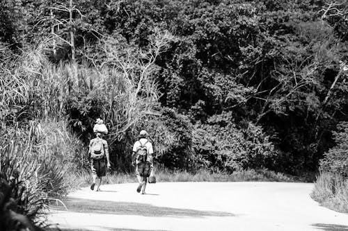 People Walking on the Road