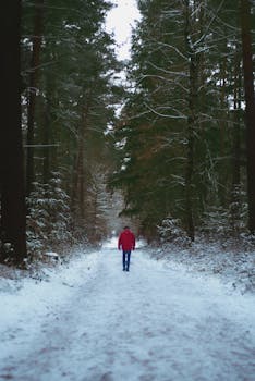 A lone person walking in a quiet snow-covered forest during winter, conveying solitude and tranquility.