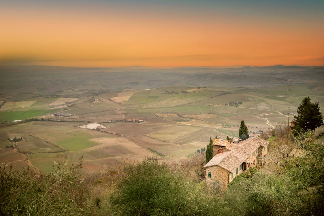 Foto d'estoc gratuïta de a l'aire lliure, agricultura, arbre