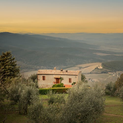 Free Old cottage located in vineyards in hilly valley at sundown Stock Photo