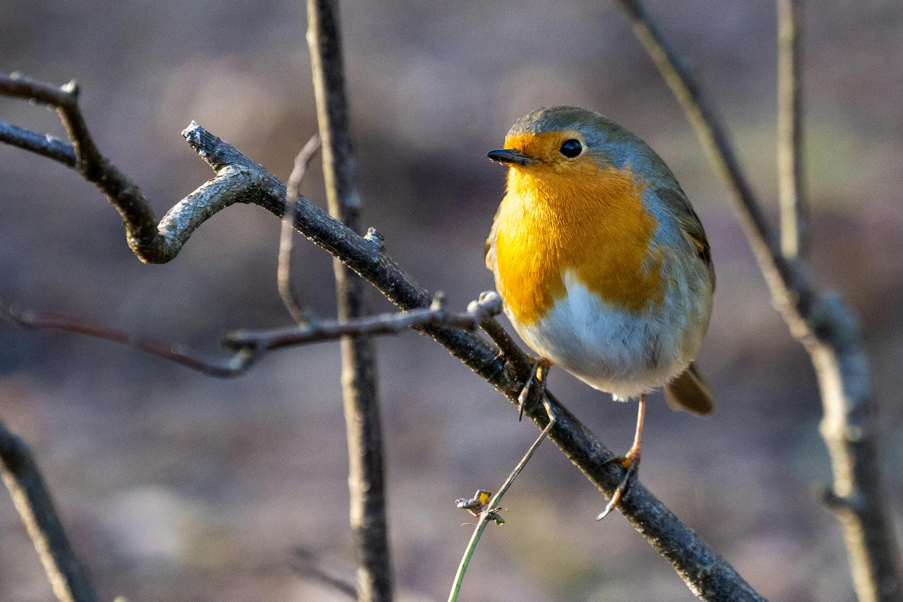 Abstract visualization of financial data and blockchain nodes