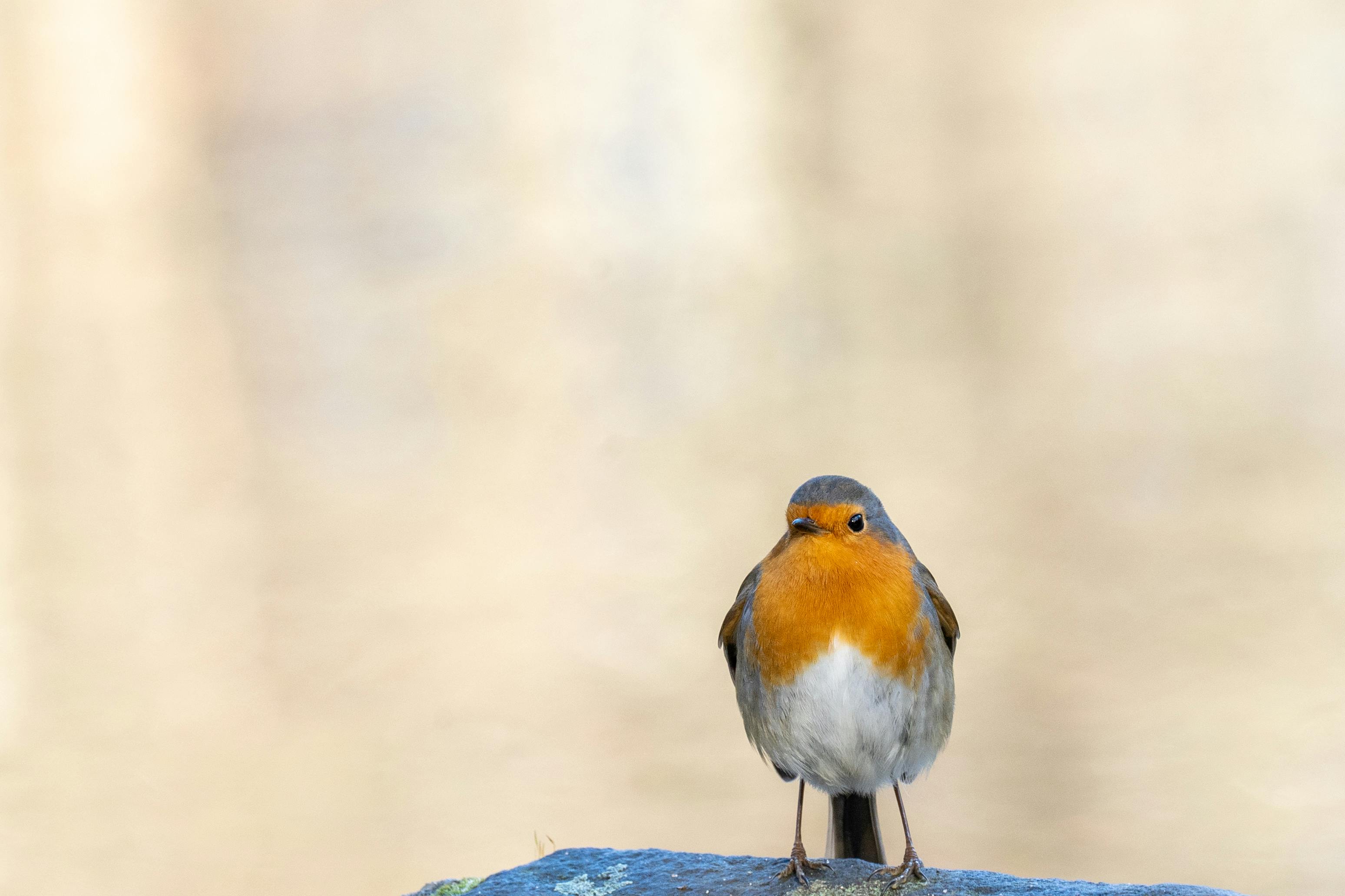Woman in a dimly lit office looking distressed while working at a computer