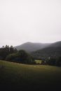 Green Trees and Grass Field Near Mountains