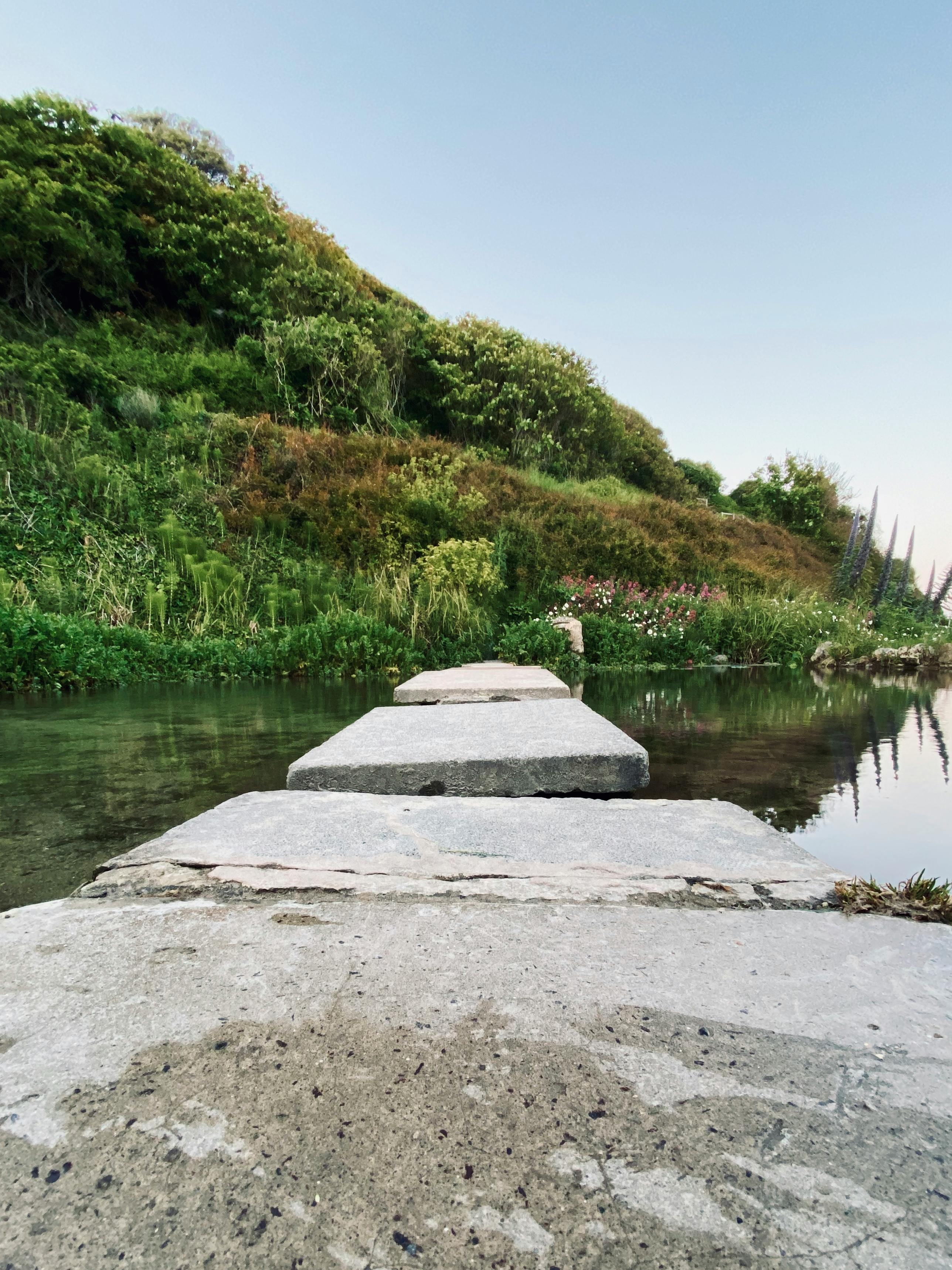 Digital chart on a laptop showing cryptocurrency market data with coins in the foreground