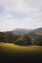 Sprawling Trees on Green Grass Field Near Mountains