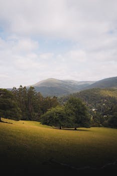 International Mountain Day Conservation & Adventure 2025