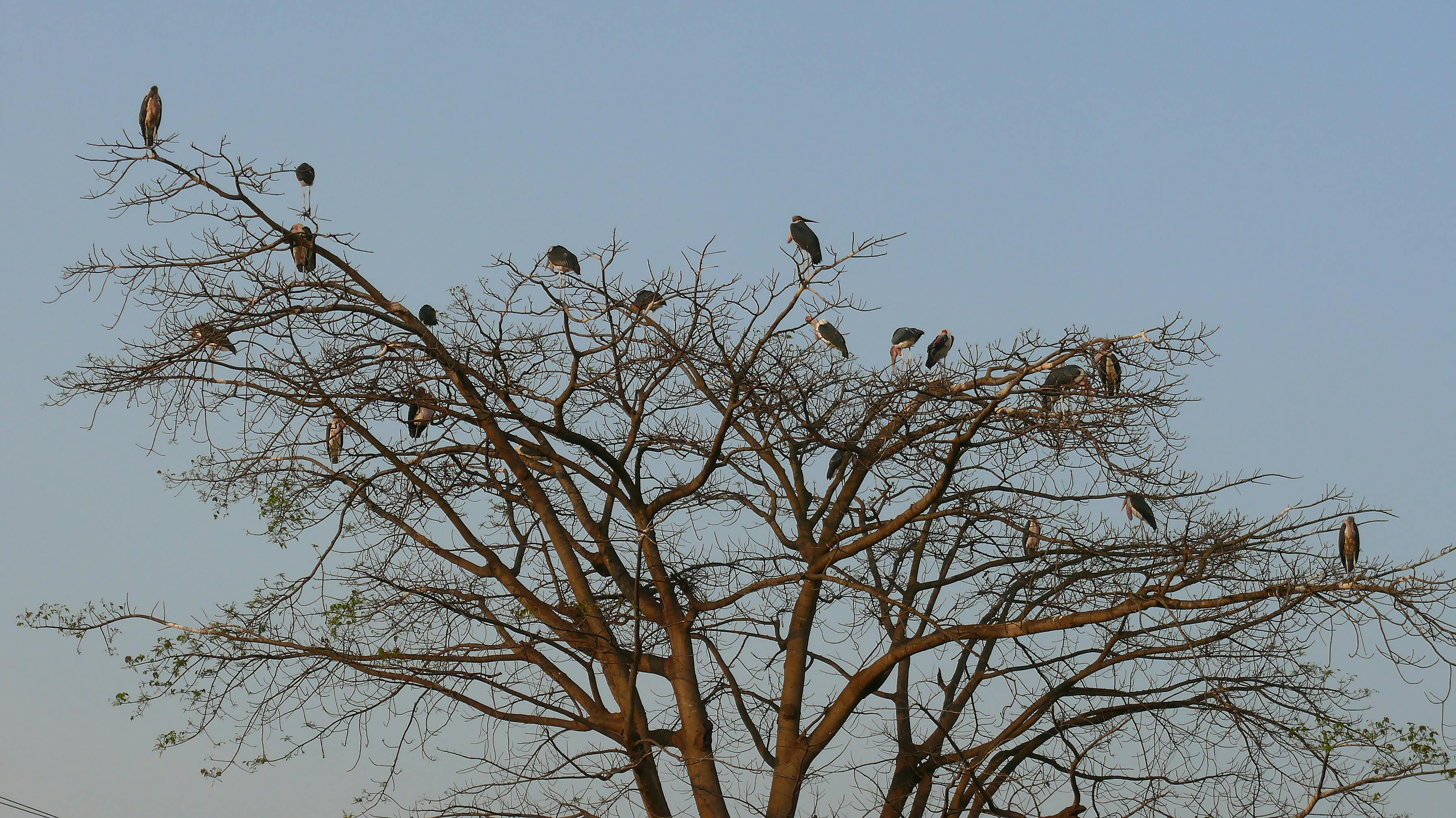 Physical Bitcoin coin placed on a smartphone displaying a financial chart