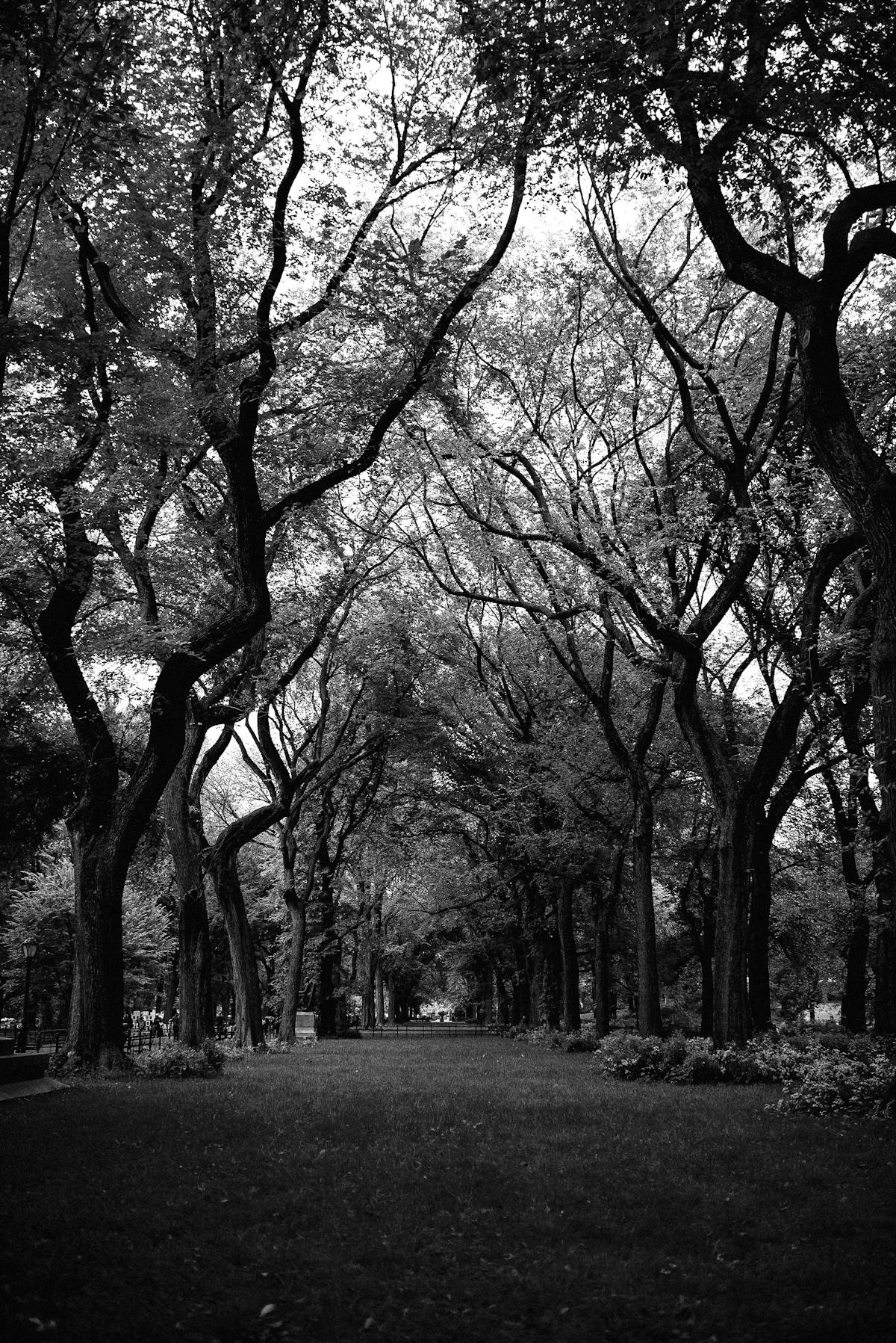 Diagram-like screen showing analytics and content funnel on laptop with phone