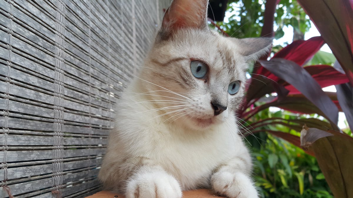 Financial analyst reviewing charts and metrics on multiple screens