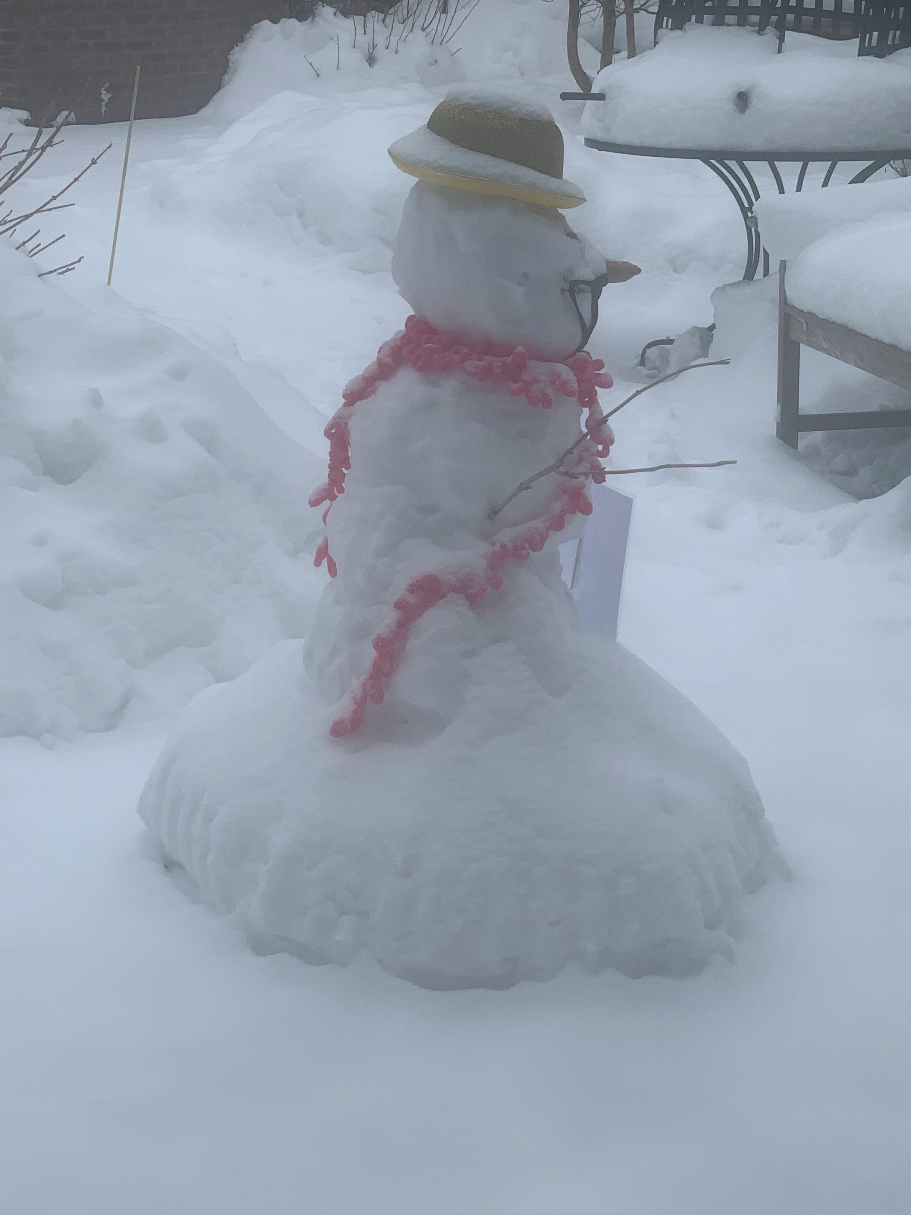 Digital payment and shopping technology