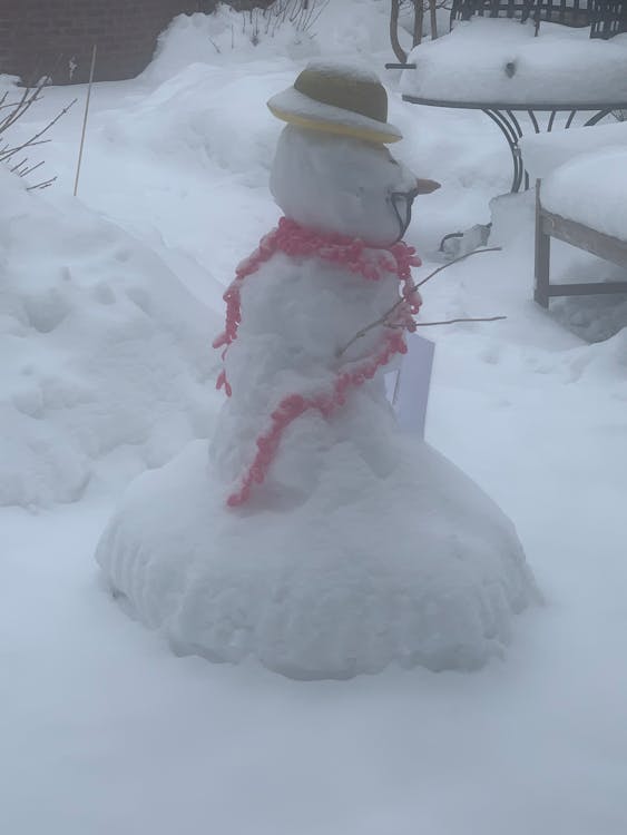 Digital payment and shopping technology