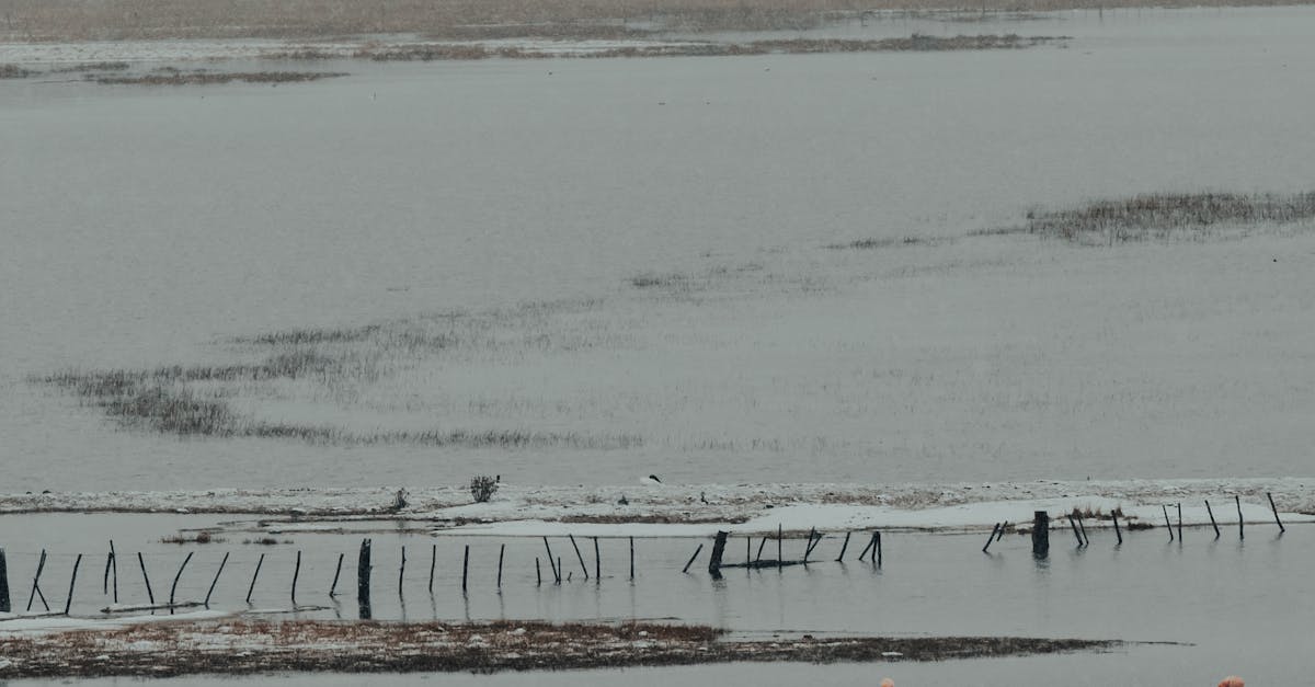 Dinamarca y Groenlandia anuncian un aumento de la presencia militar danesa en Groenlandia y sus alrededores Dinamarca y Groenlandia anuncian un aumento de la presencia militar danesa en Groenlandia y sus alrededores