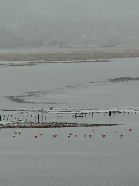 Celebrating Victory on the Field: Memorable Triumphs