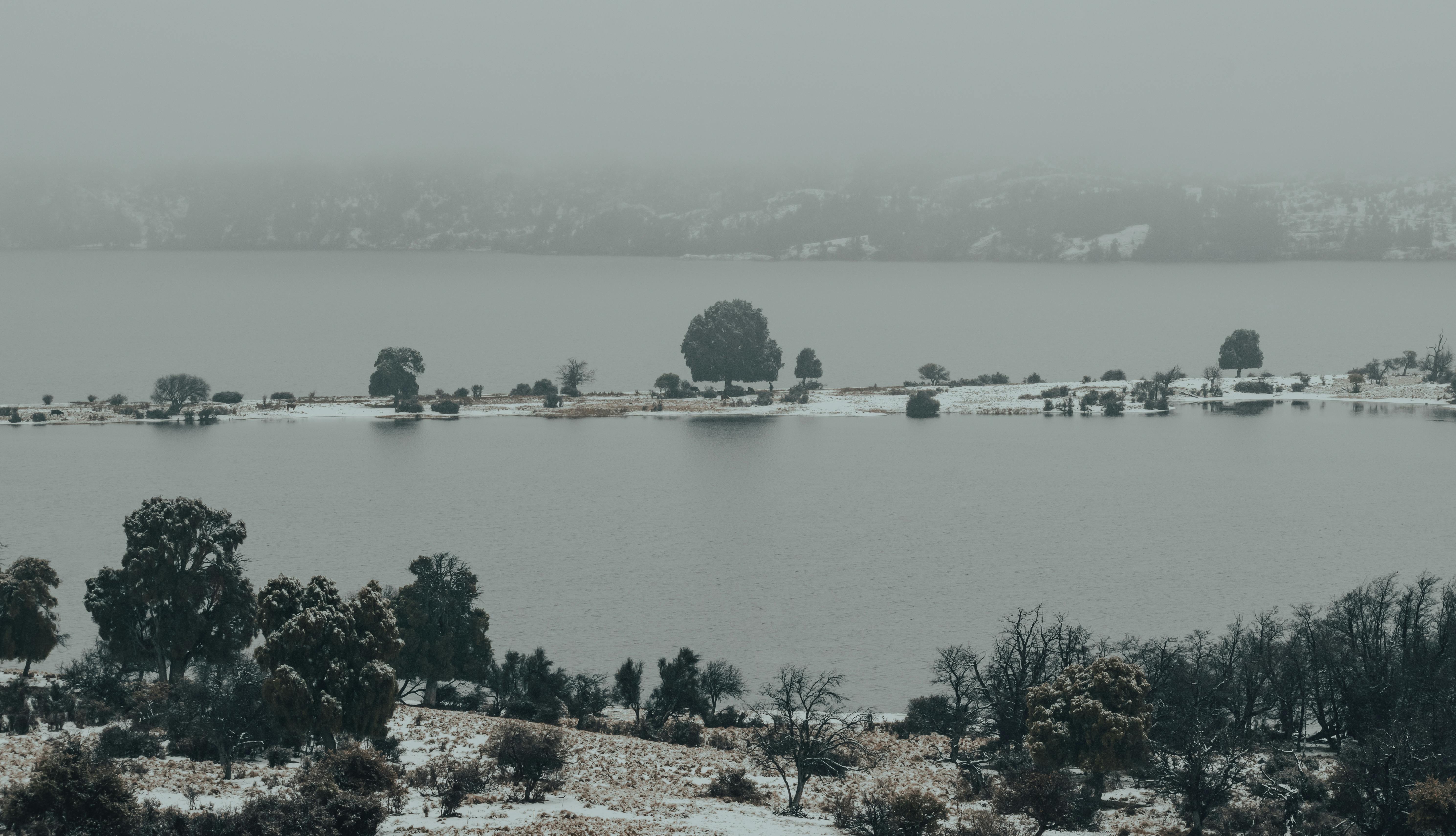 YouTube 4 Ads in a Row: How to Monetize Your Social Media Presence