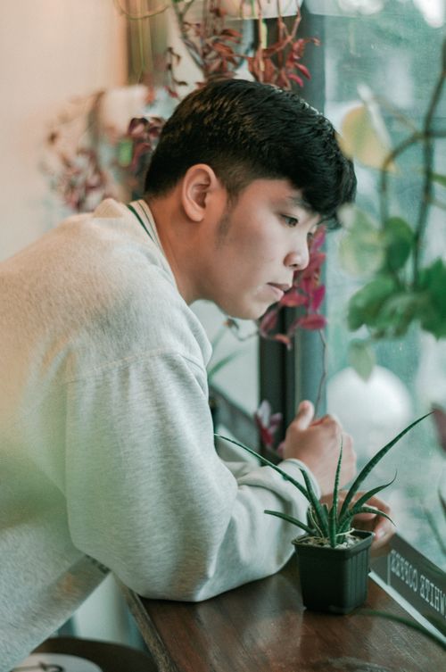 Free A young adult in a gray sweater leans thoughtfully by a window, surrounded by plants. Stock Photo