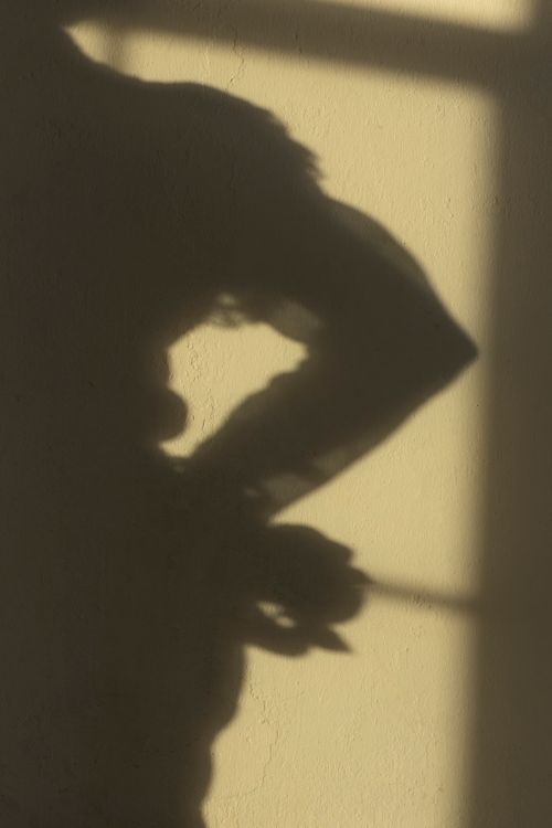 Free Creative silhouette of a woman casting a shadow on a wall with natural light. Stock Photo