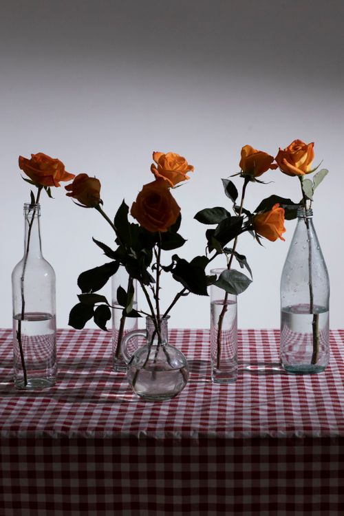 Free A captivating display of orange roses in various glass bottles on a checkered cloth. Stock Photo