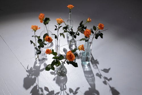 Yellow Roses in Glass Vases on the Floor