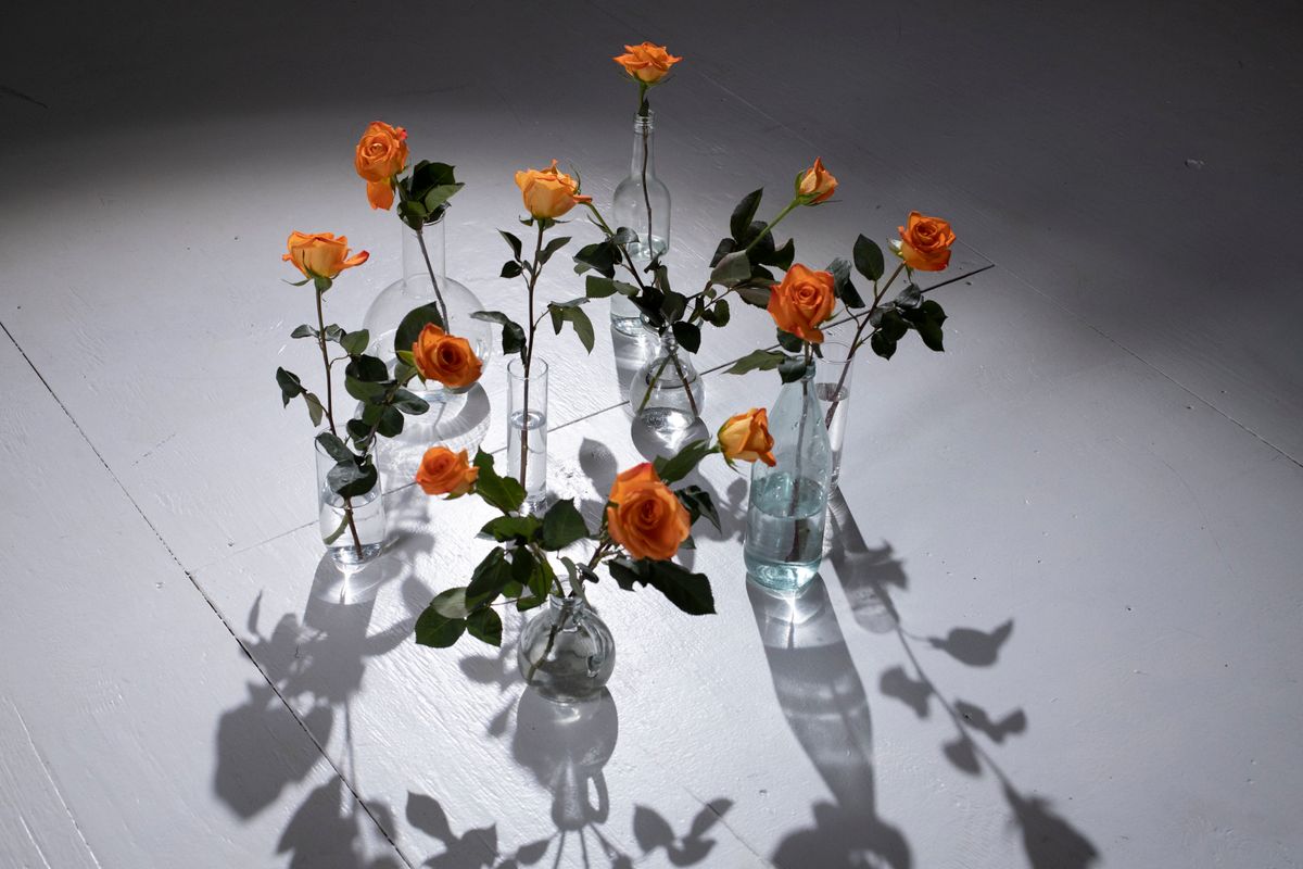 Sympathy arrangement