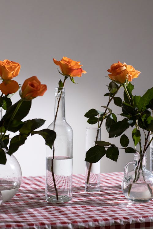 Gentle orange blooming roses with fresh verdant leaves in glass transparent glassware on table on gray background
